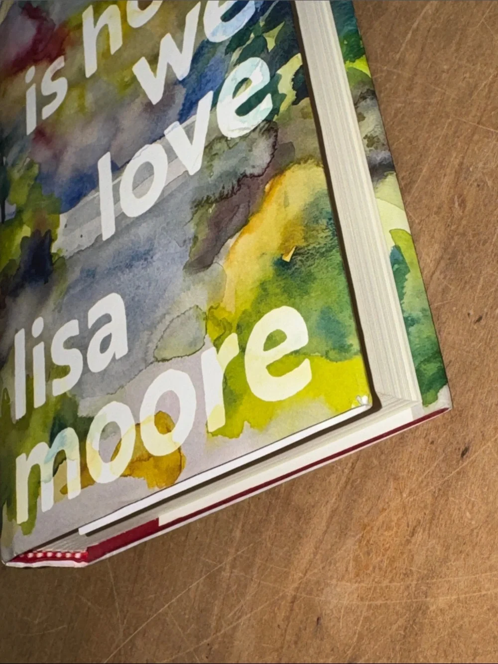 This Is How We Love - Lisa Moore hardcover Book - Picture 12 of 13